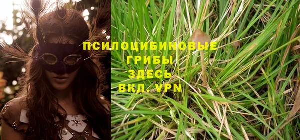 кокаин Богданович